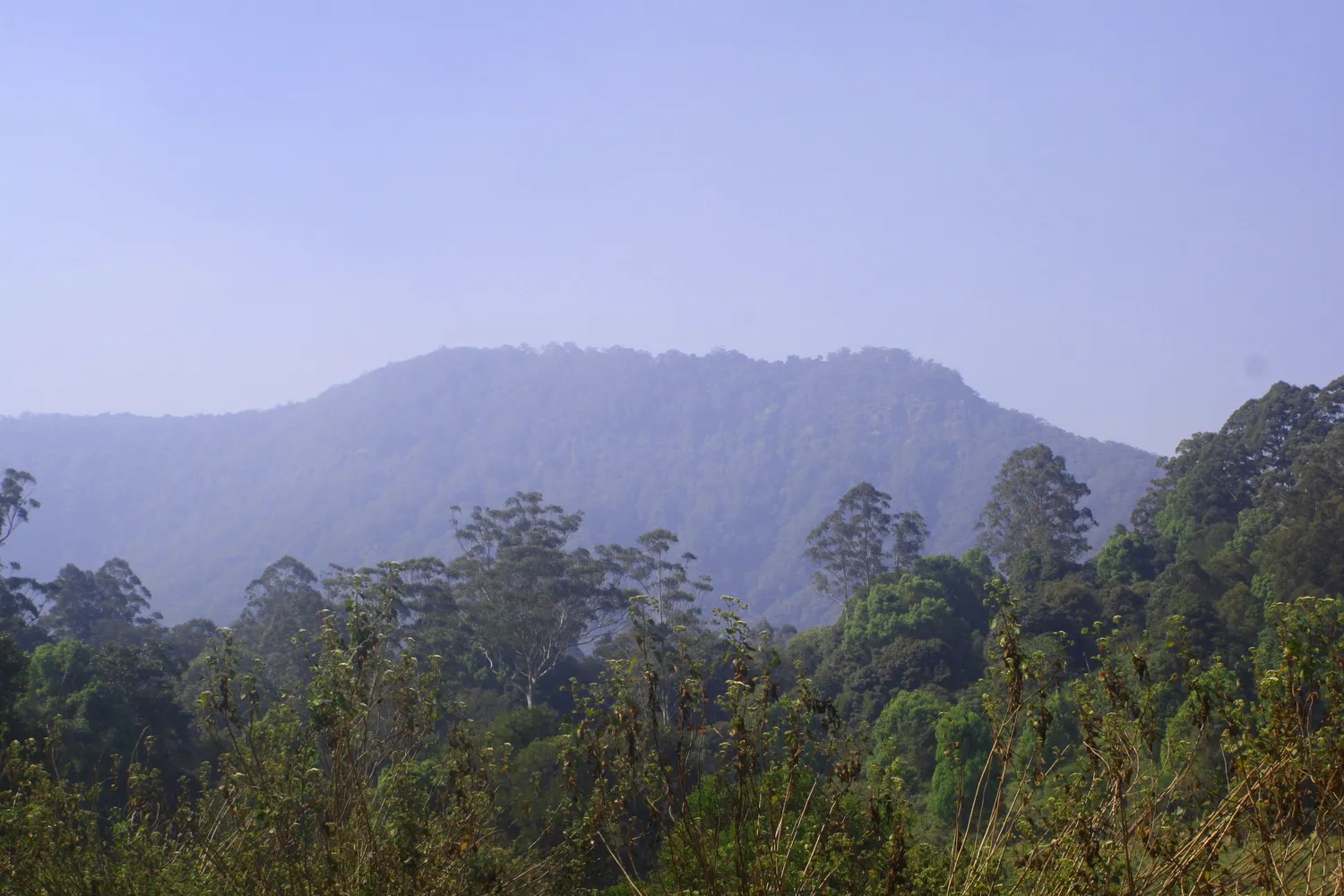 Remote Village